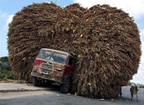 Overloaded Pickup Truck