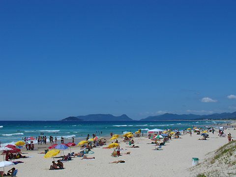 praia joaquina2 Destination: Florianopolis, Brazil