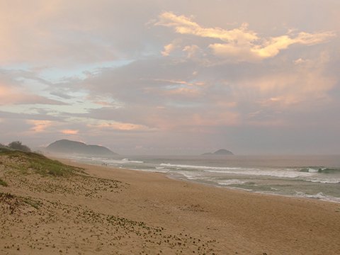 praia mozambique Destination: Florianopolis, Brazil