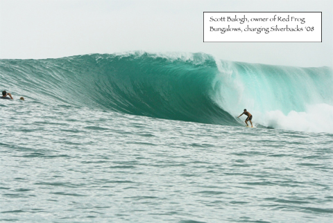 Surf: The Surf in Bocas can be world class. There are 12 great spots within 