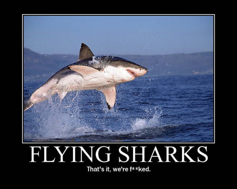 Fly Shark