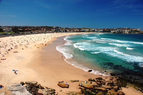 surftherenow.com » Shark Attack at Bondi Beach – Second Attack in Two Days